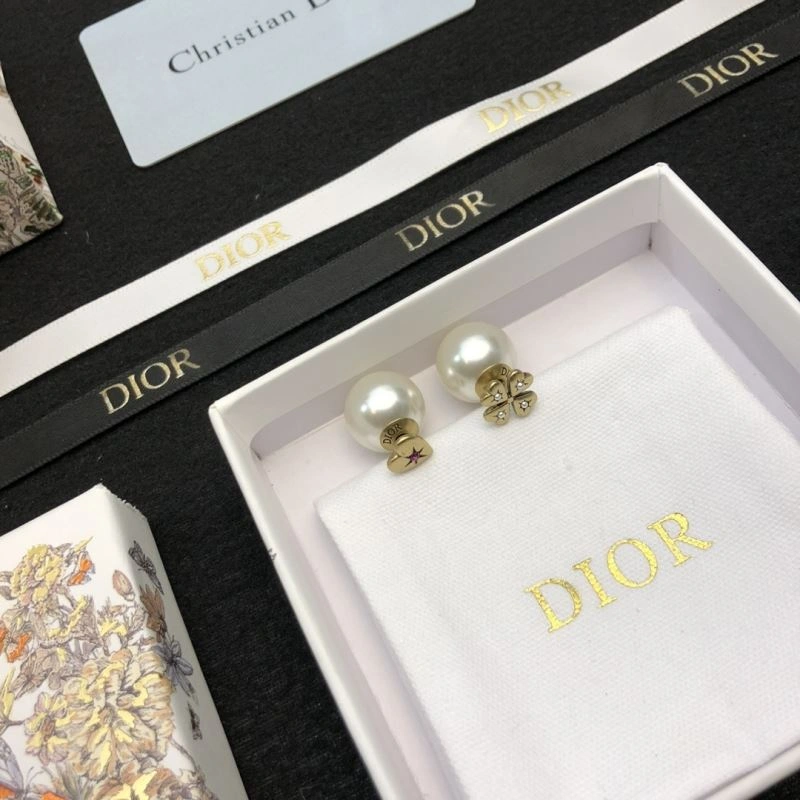 Neat Christian Dior Earrings 236160