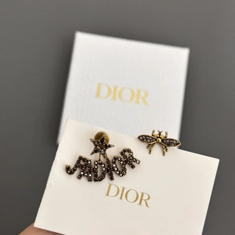 Attractive Christian Dior Earrings 236166
