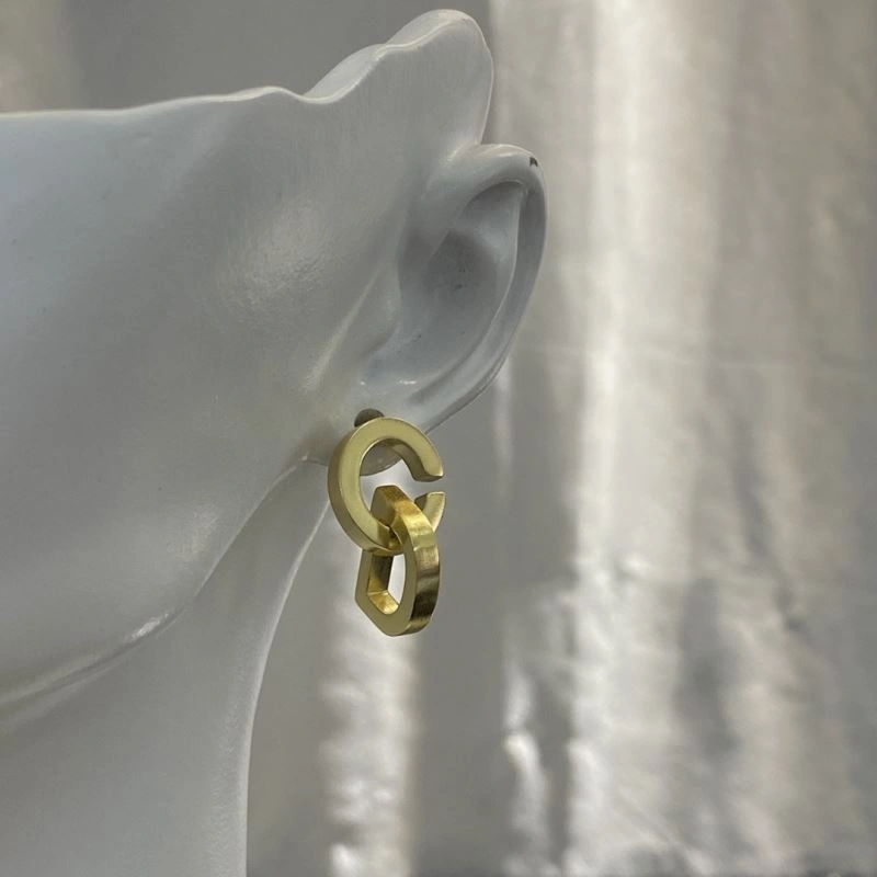 Christian Dior Earrings Affordable 236131