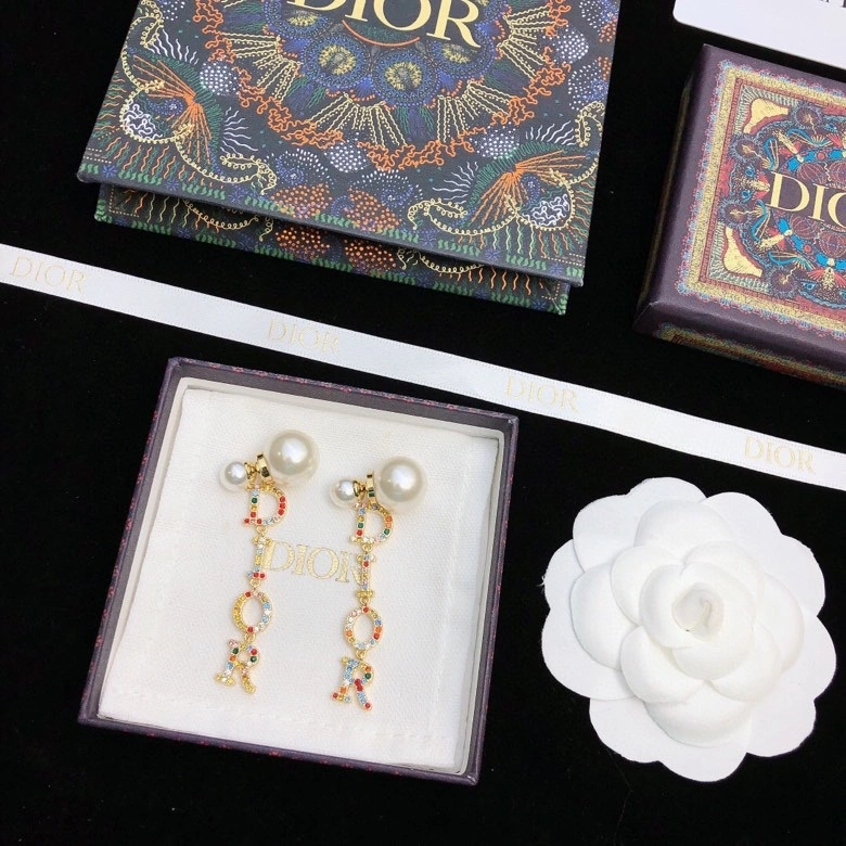 Breathable Christian Dior Earrings 236198