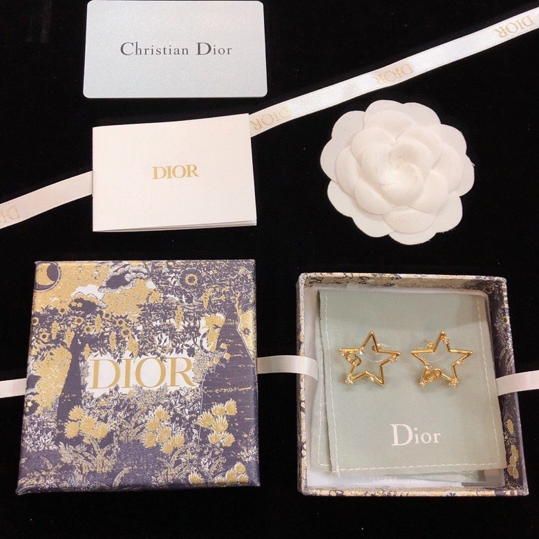 Breathable Christian Dior Earrings 236113