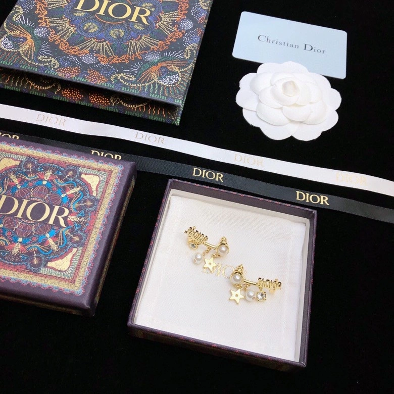 TechFriendly Christian Dior Earrings 236110