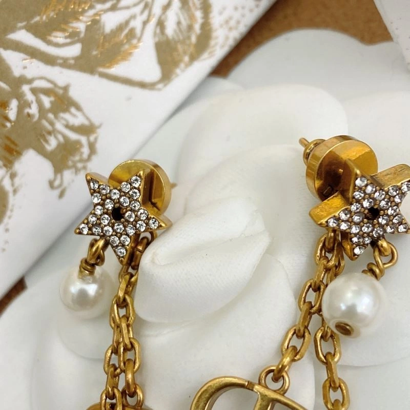 Sporty Christian Dior Earrings 235607