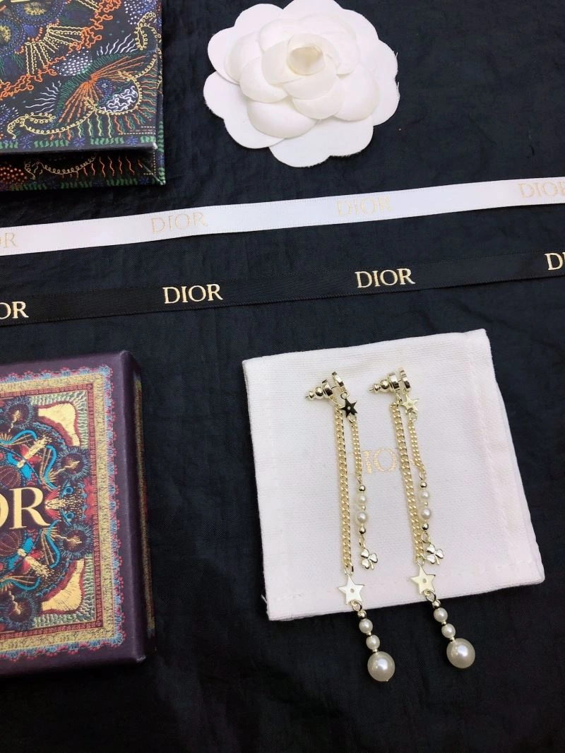 Christian Dior Earrings Stylish 235594
