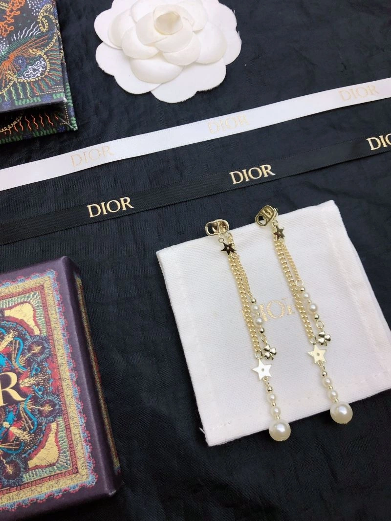Christian Dior Earrings Stylish 235594