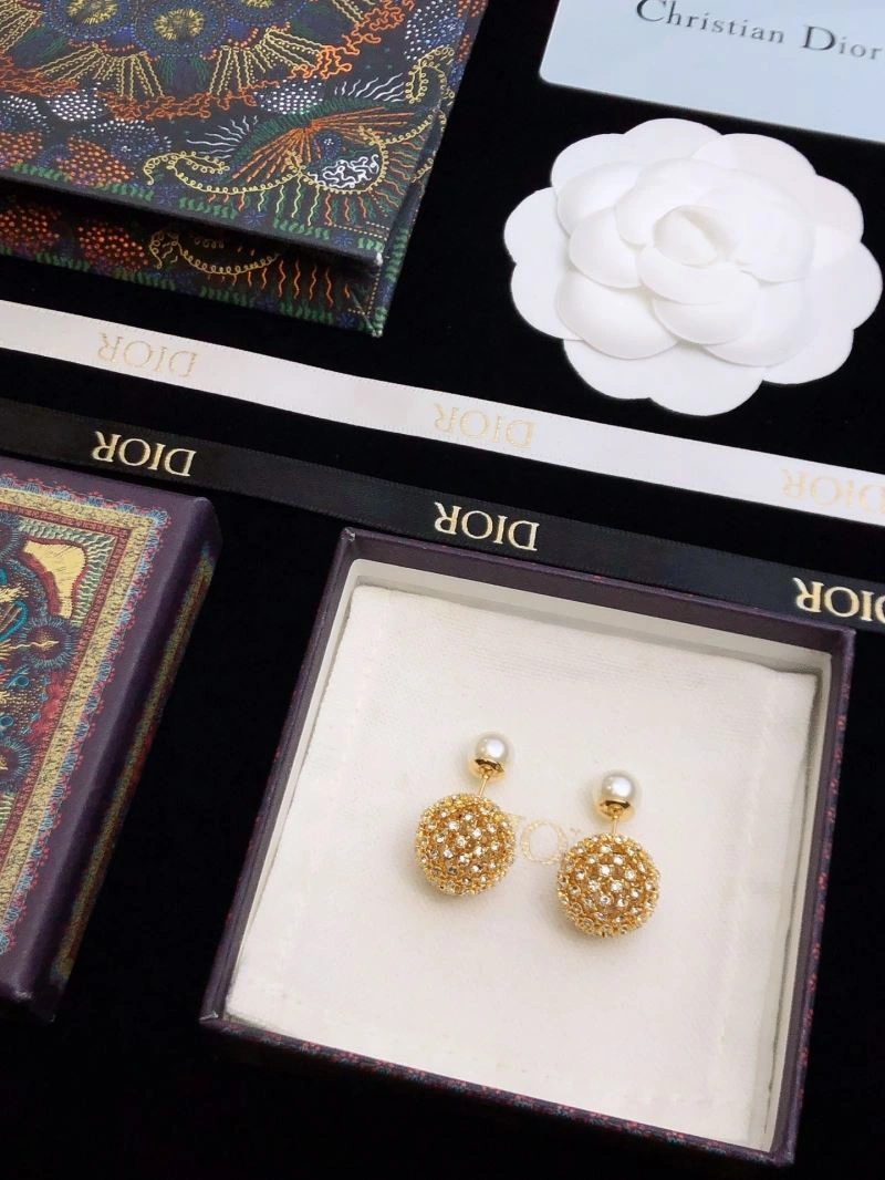 Christian Dior Earrings Affordable 235608