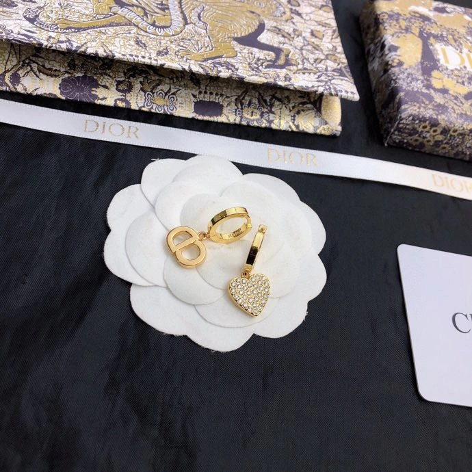 Christian Dior Earrings Affordable 235584