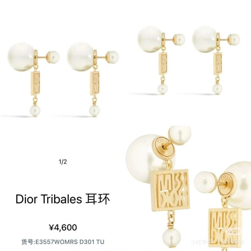 Christian Dior Earrings Upgraded 235566