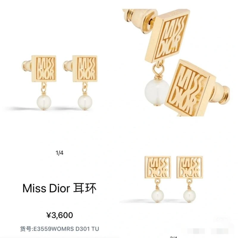 Christian Dior Earrings WaterResistant 235565