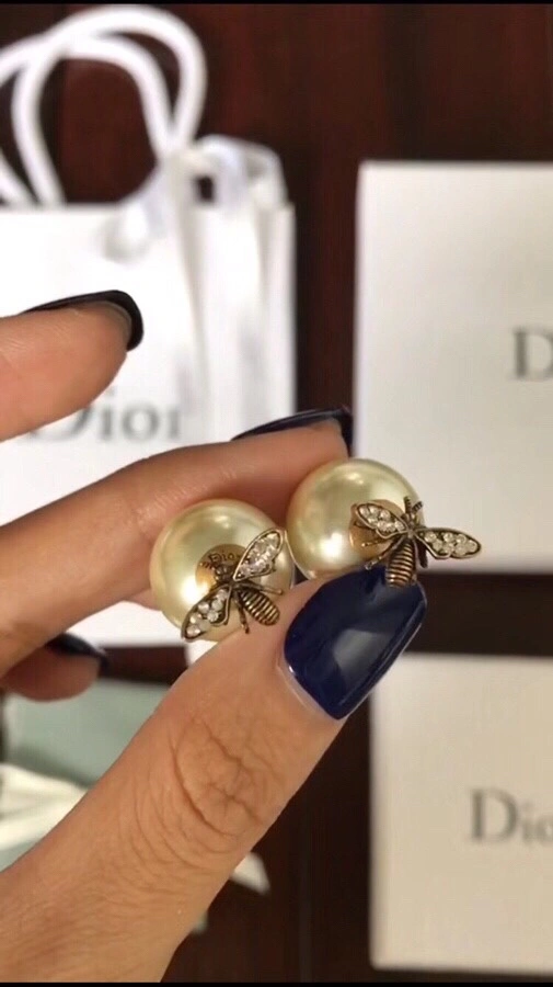Colorful Christian Dior Earrings 235549
