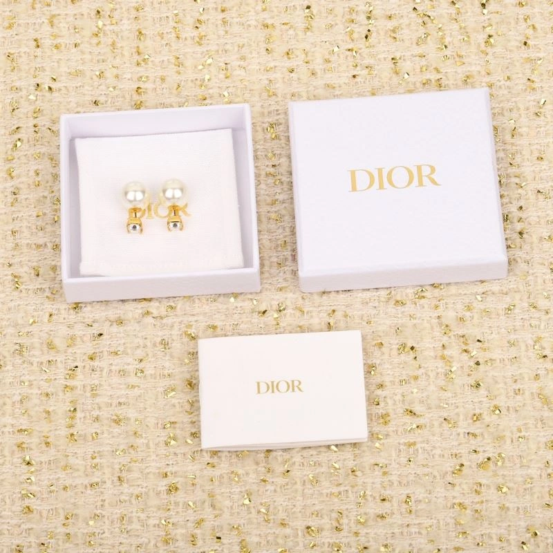 Comfortable Christian Dior Earrings 235522