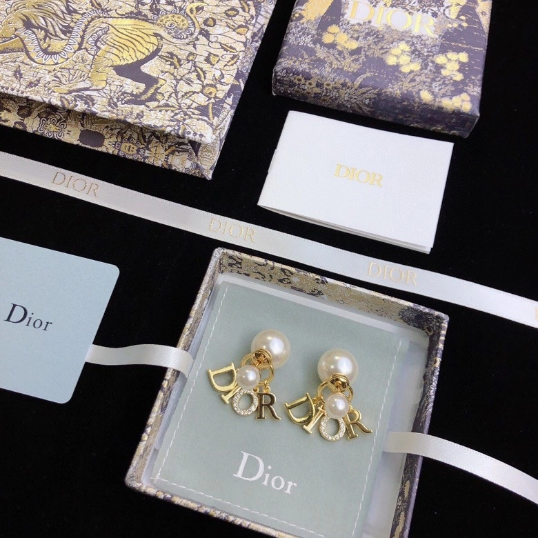 Cozy Christian Dior Earrings 235293