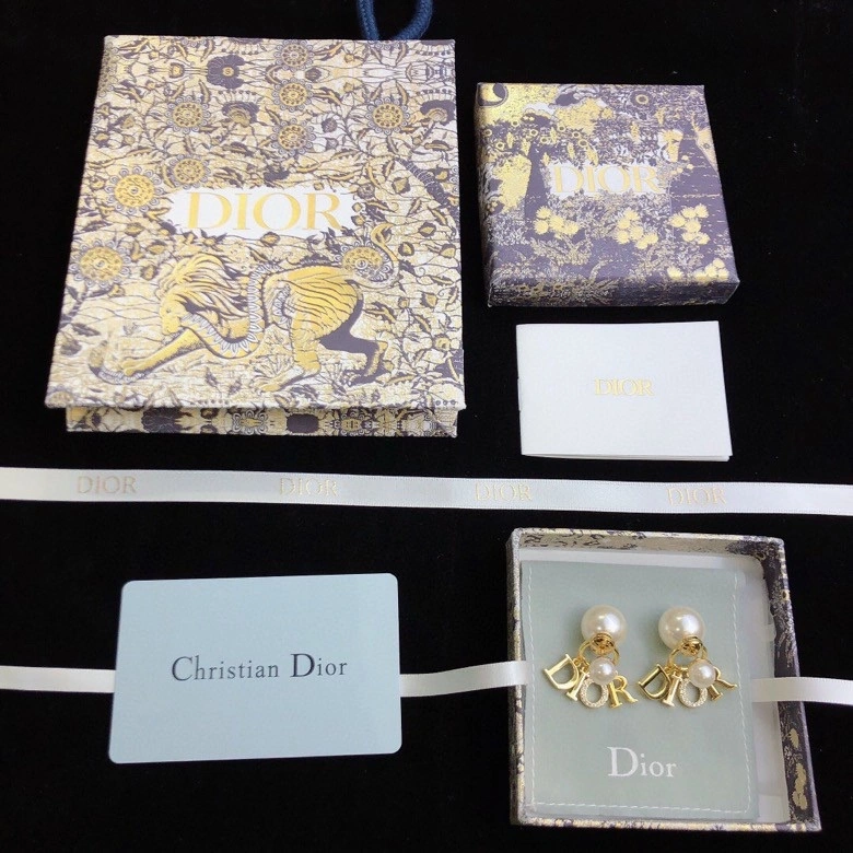 Cozy Christian Dior Earrings 235293