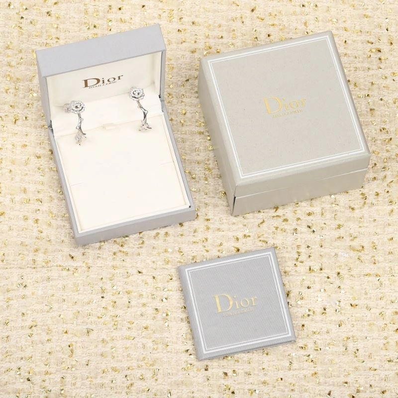 Christian Dior Earrings Trendy 235270