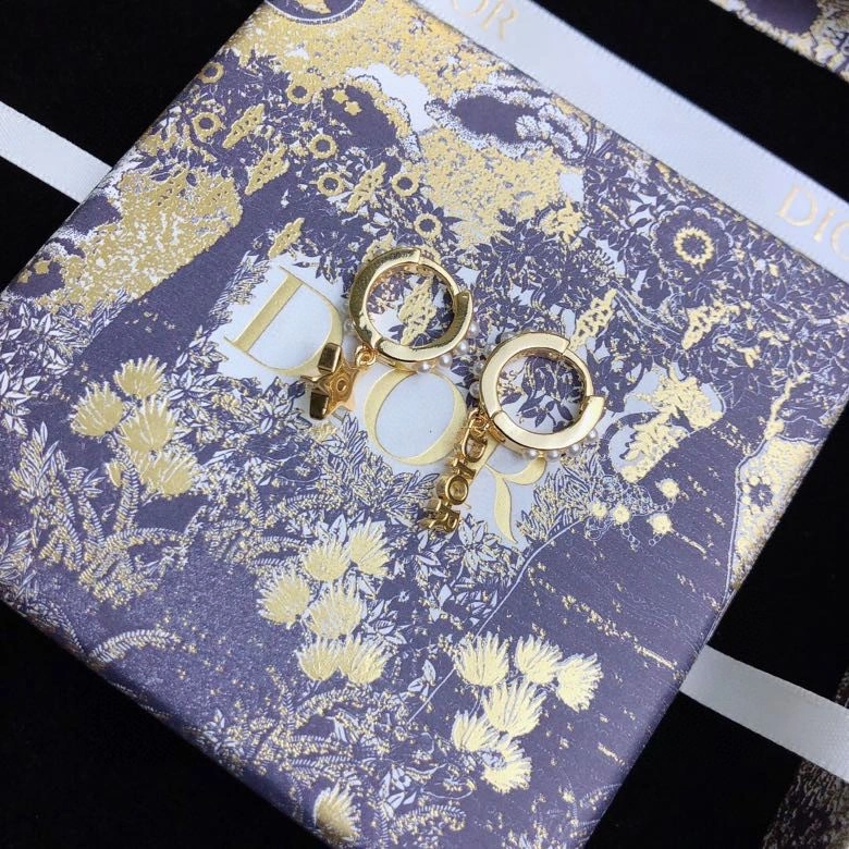 MultiPurpose Christian Dior Earrings 235254
