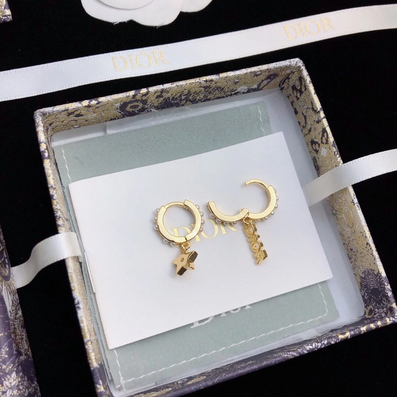 MultiPurpose Christian Dior Earrings 235254