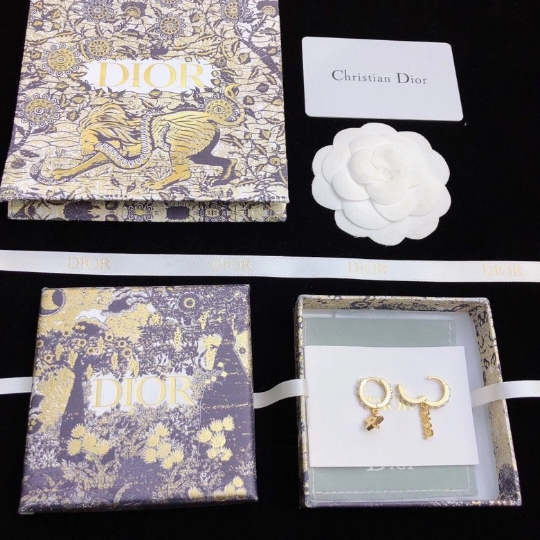 MultiPurpose Christian Dior Earrings 235254