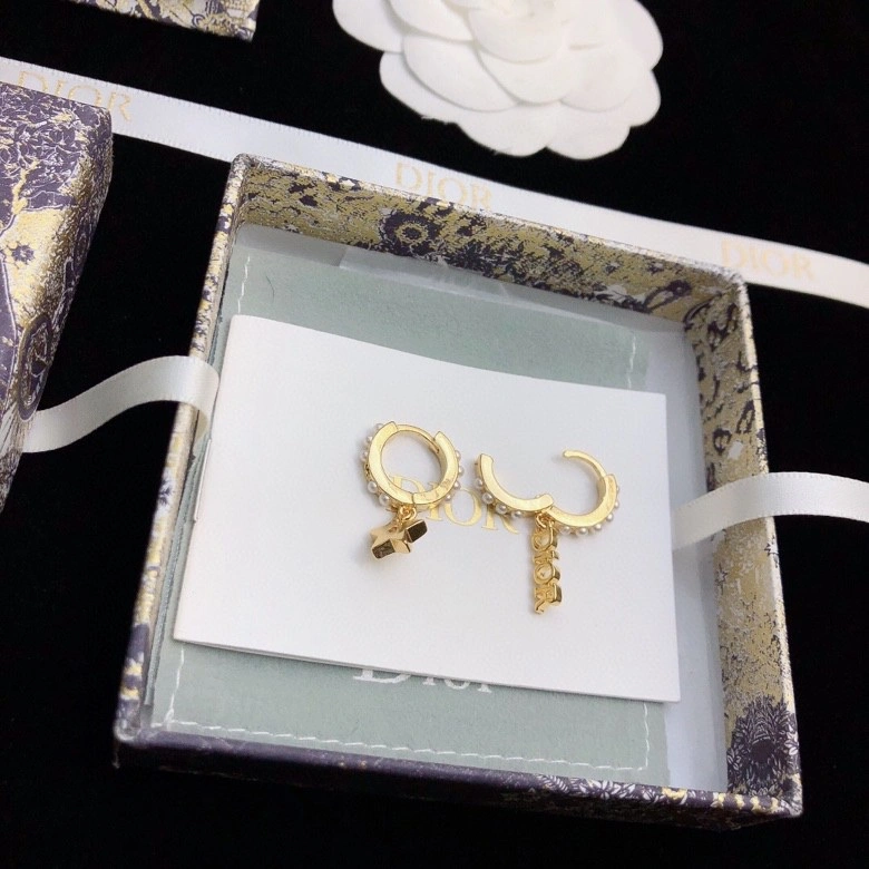 MultiPurpose Christian Dior Earrings 235254
