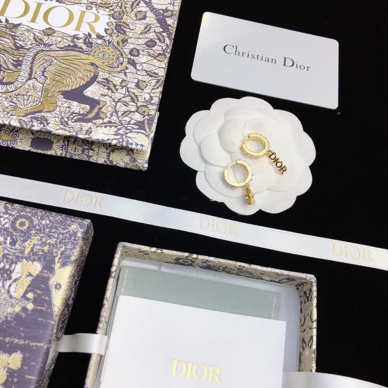 MultiPurpose Christian Dior Earrings 235254