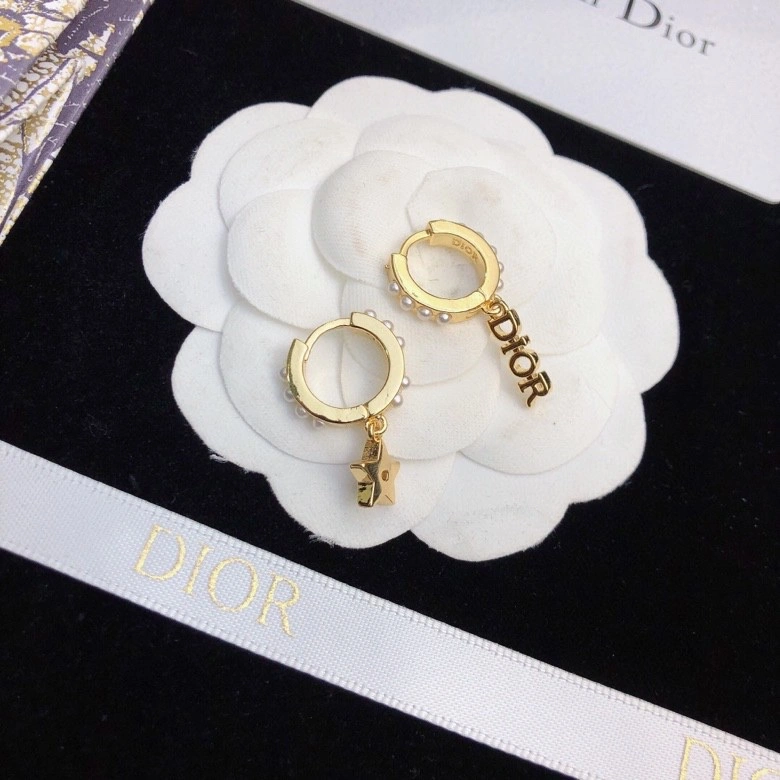 MultiPurpose Christian Dior Earrings 235254