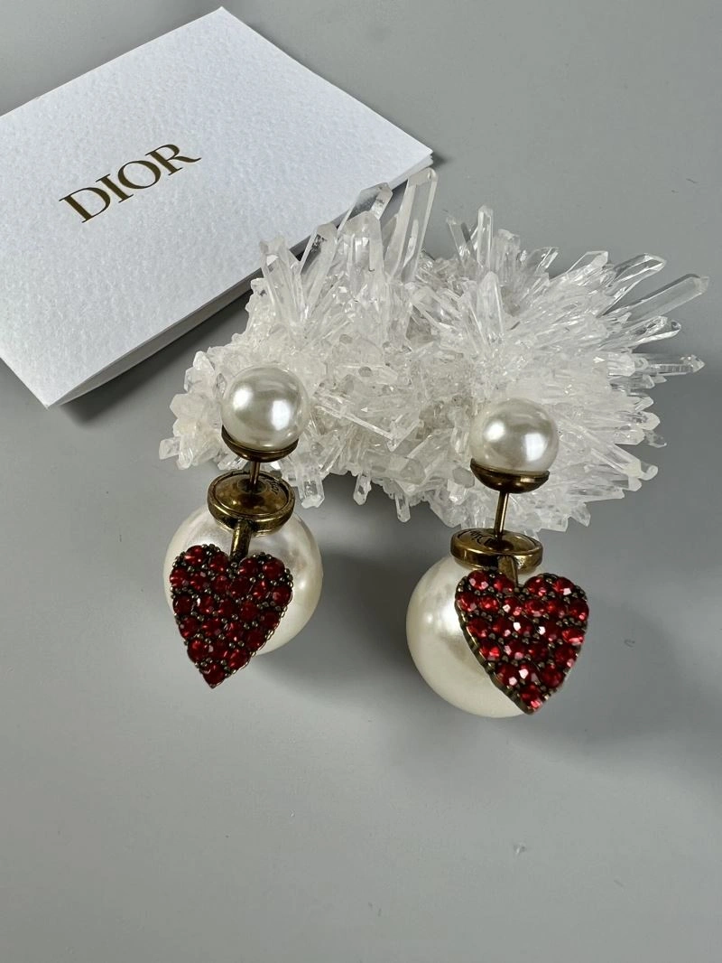 Christian Dior Earrings Affordable 235066