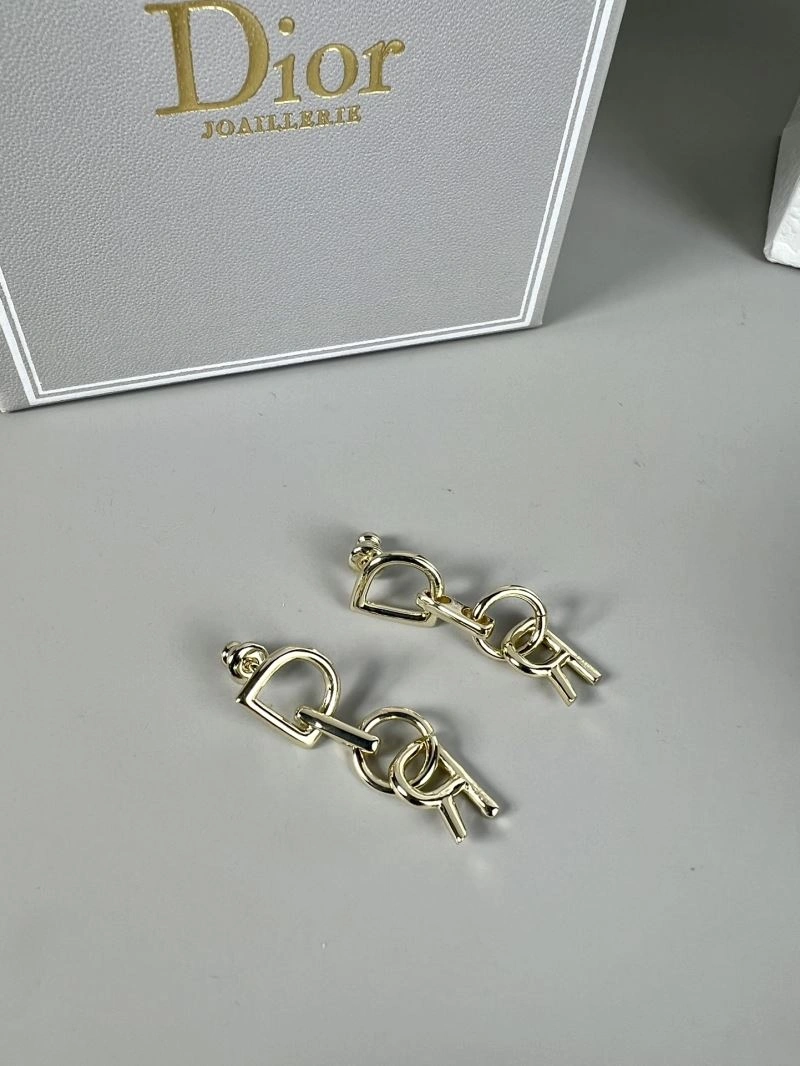 Casual Christian Dior Earrings 235089