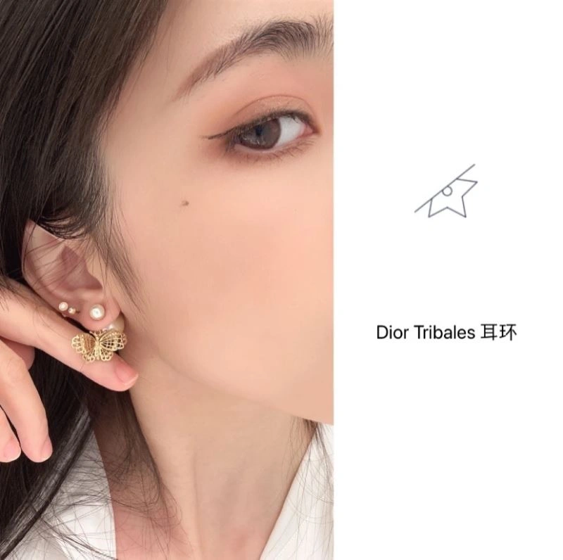 Christian Dior Earrings Flexible 235038
