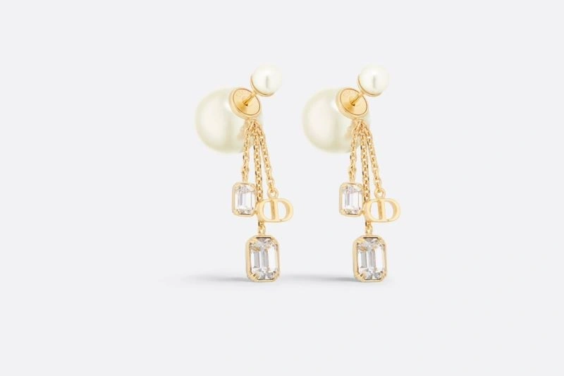 Christian Dior Earrings Affordable 235026