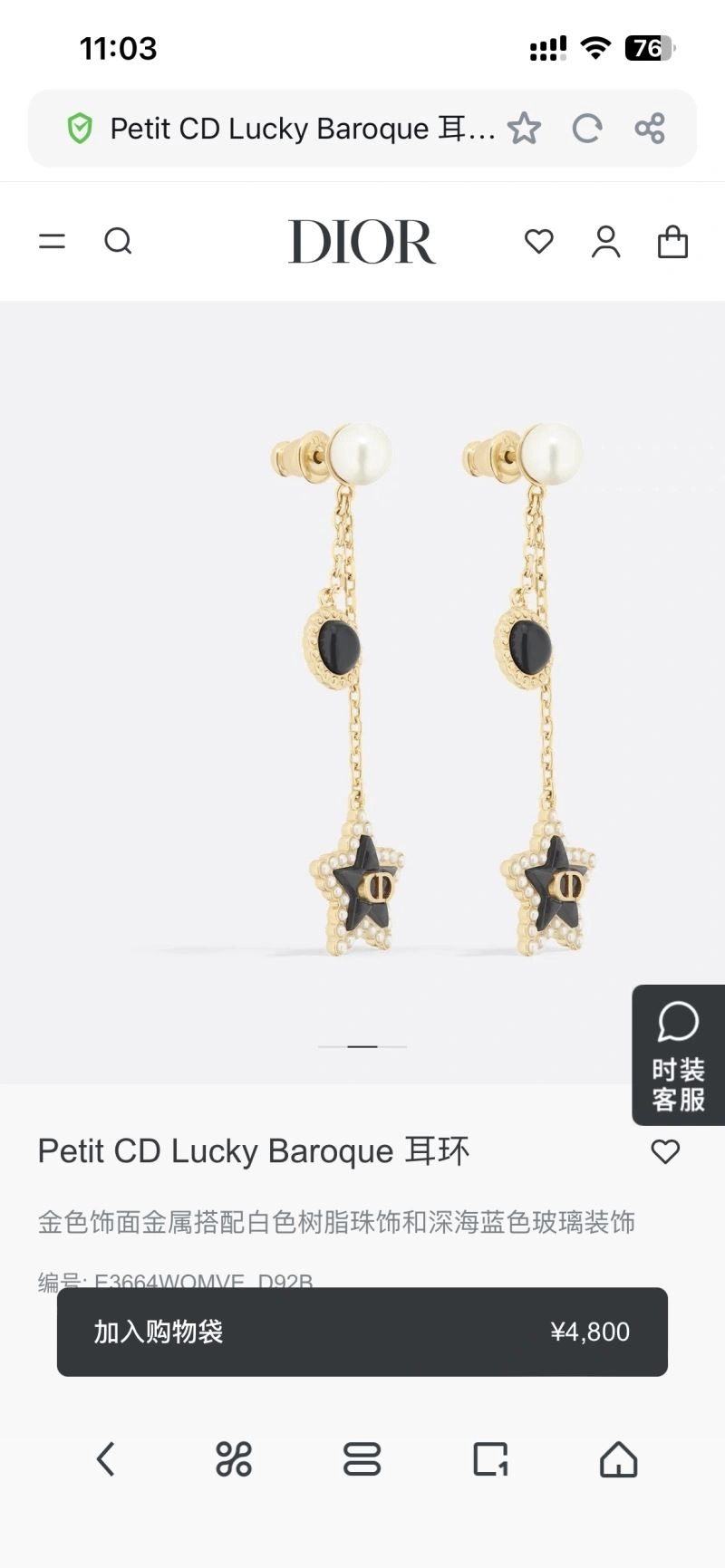 Packable Christian Dior Earrings 234992