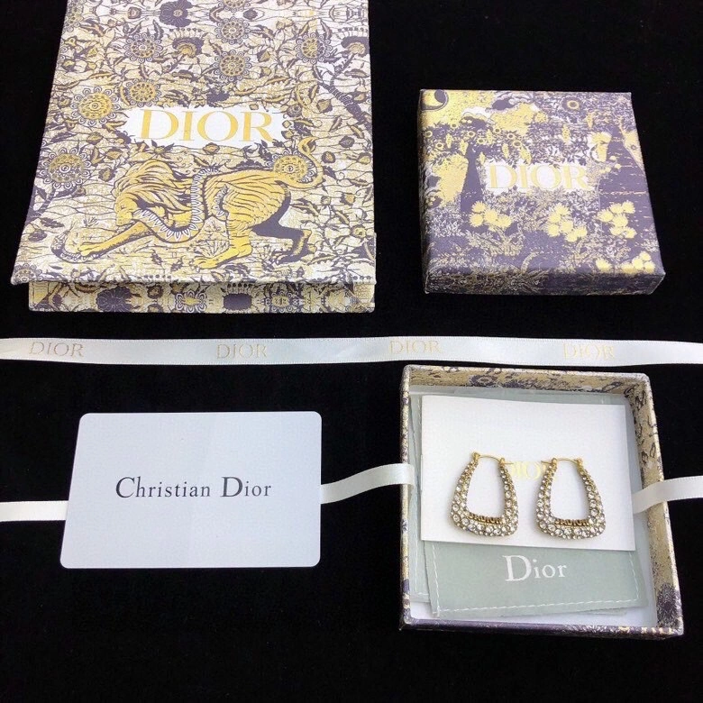 OdorResistant Christian Dior Earrings 234967