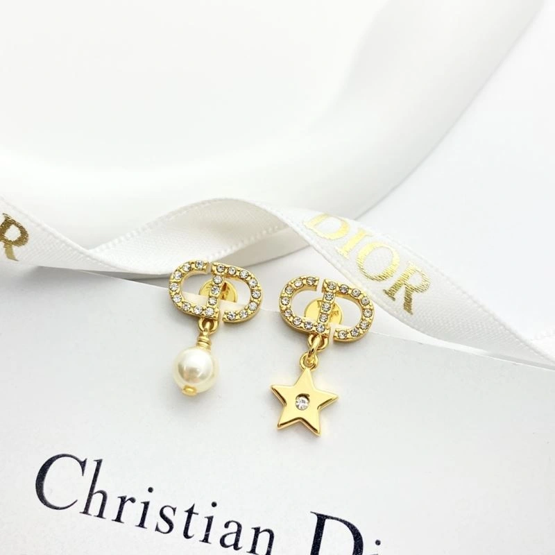 Neat Christian Dior Earrings 234960