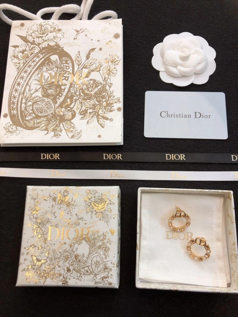 Christian Dior Earrings Breathable 234941