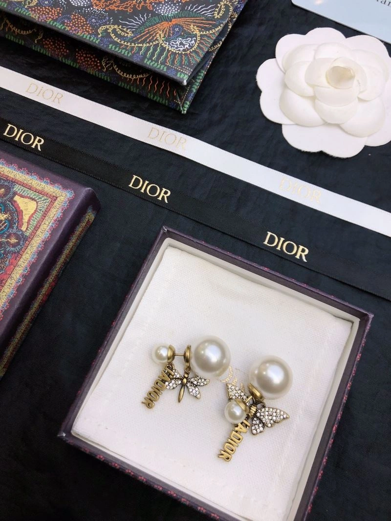 Colorful Christian Dior Earrings 234942