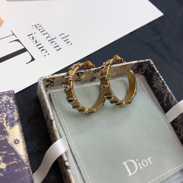 DailyWear Christian Dior Earrings 234928