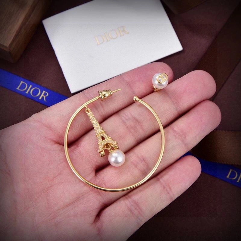 Christian Dior Earrings Affordable 234916