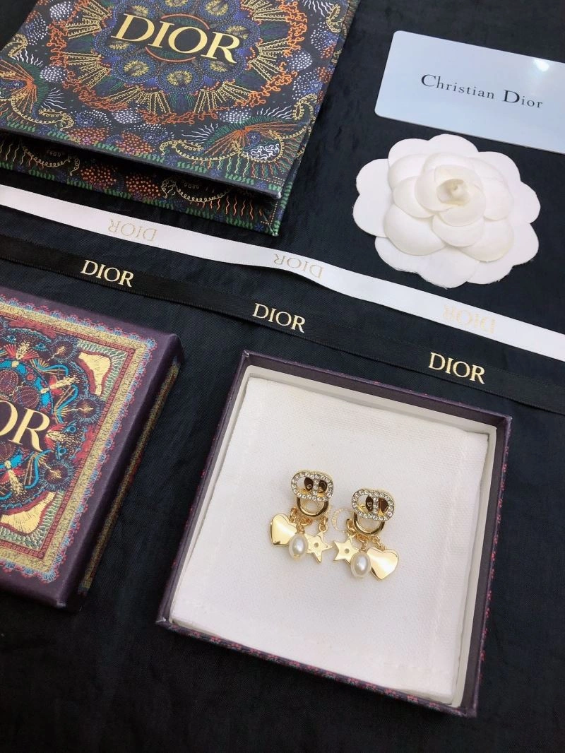 Resilient Christian Dior Earrings 234936