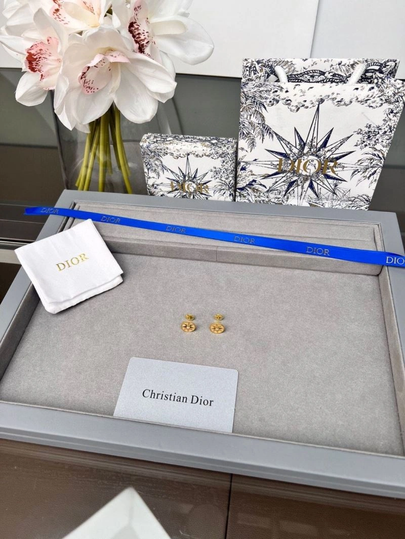 ZipUp Christian Dior Earrings 234861