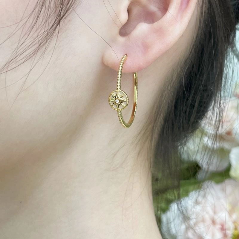 Christian Dior Earrings Sleek 234597