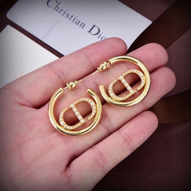 Christian Dior Earrings HighQuality 234587