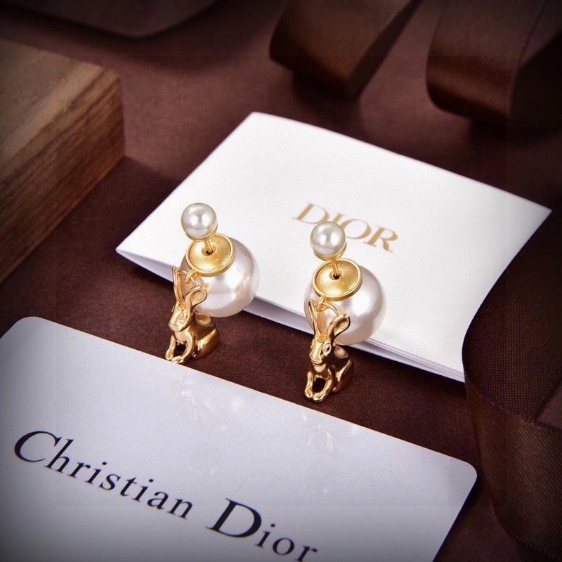 Lightweight Christian Dior Earrings 234582