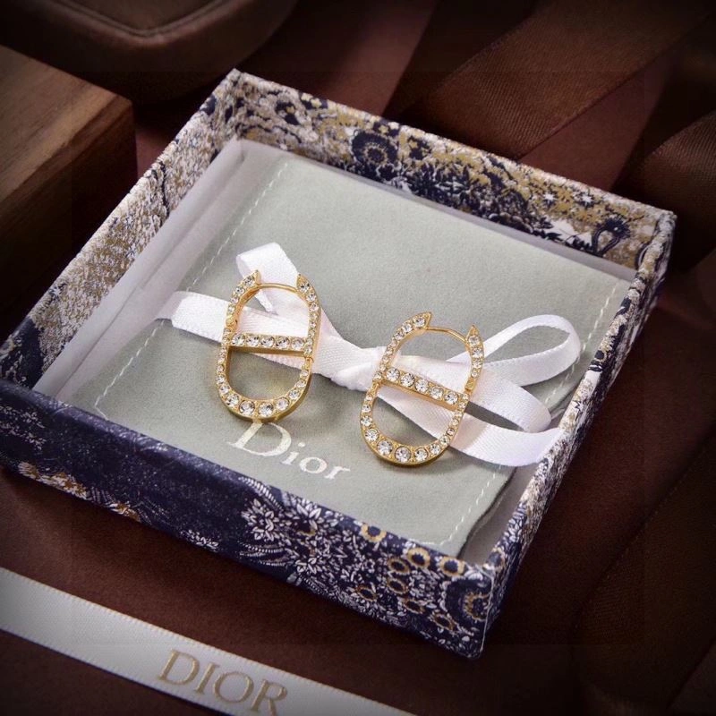 Thermal Christian Dior Earrings 234581