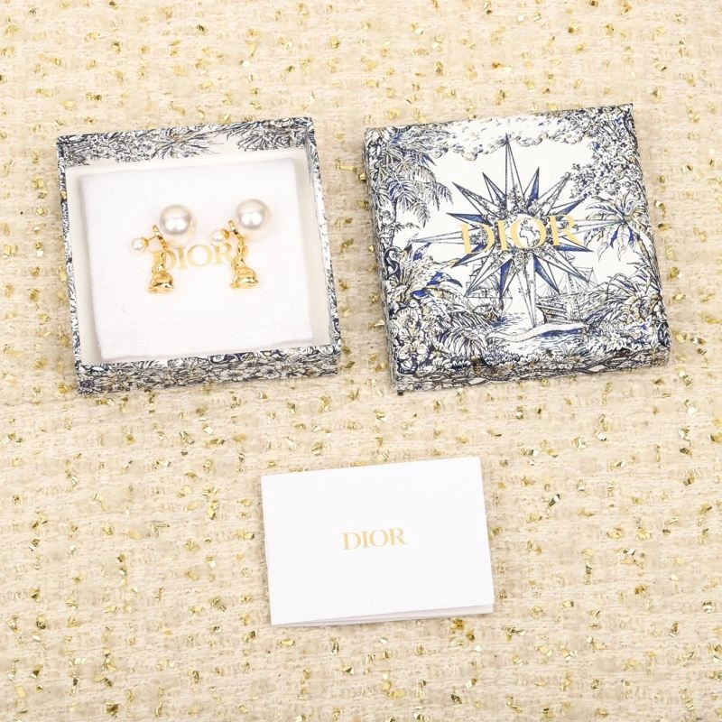 Durable Christian Dior Earrings 234565