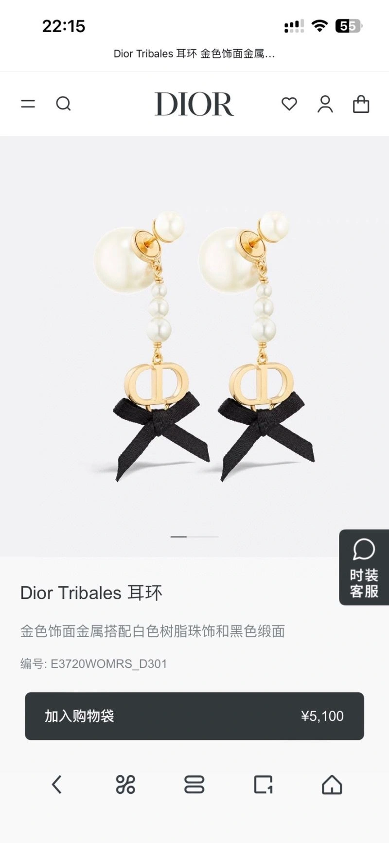 Casual Christian Dior Earrings 234578