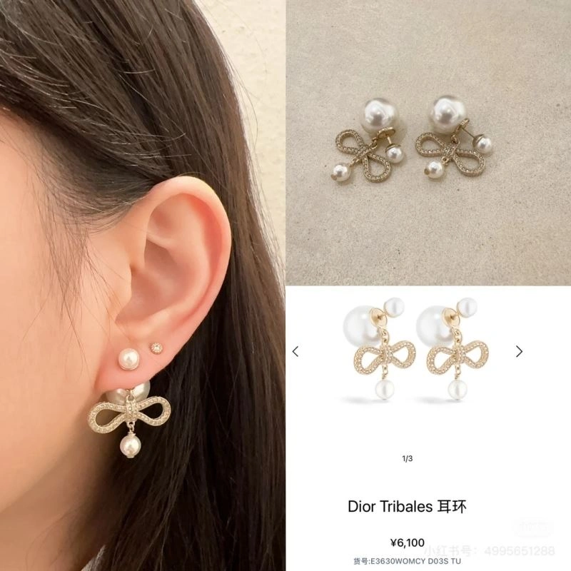 Christian Dior Earrings EasyCare 234523