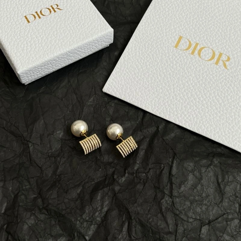 Christian Dior Earrings Affordable 234524