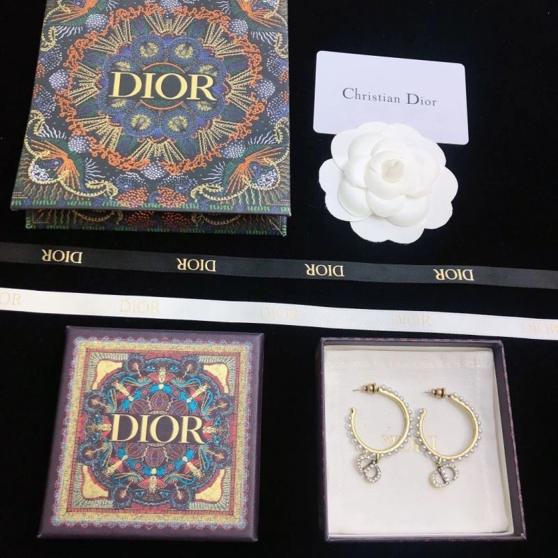 Christian Dior Earrings SmoothTexture 234490