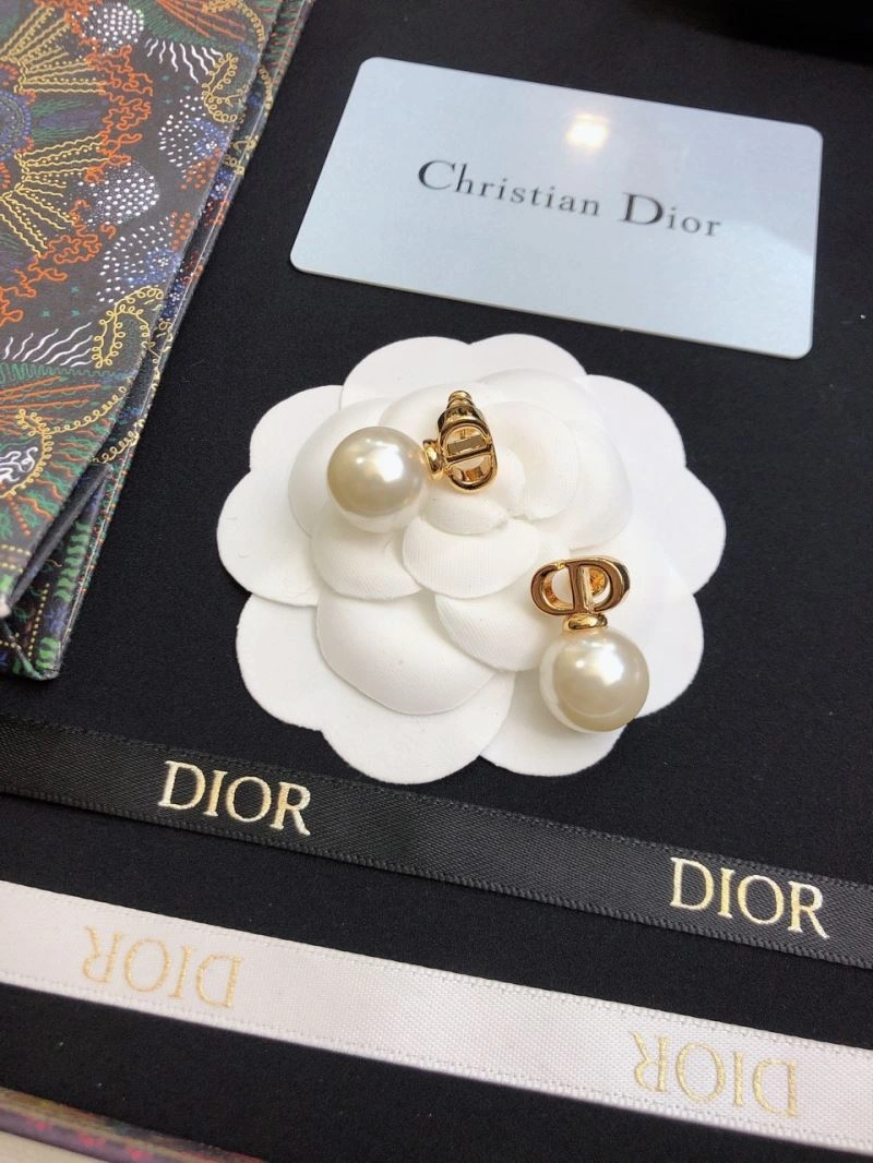 Christian Dior Earrings Affordable 234446
