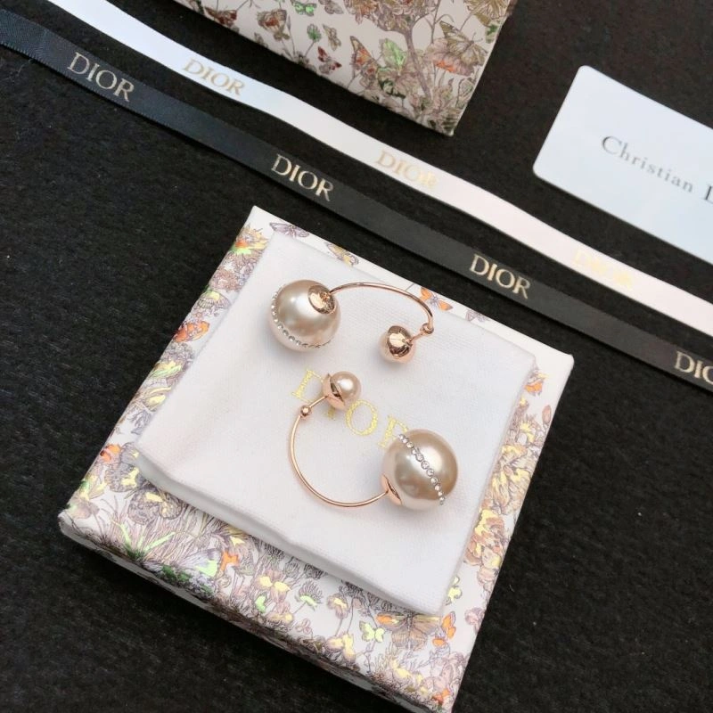 Christian Dior Earrings Stylish 234503