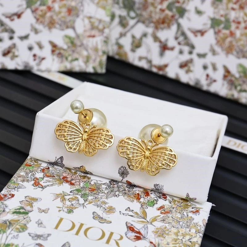 Colorful Christian Dior Earrings 234232