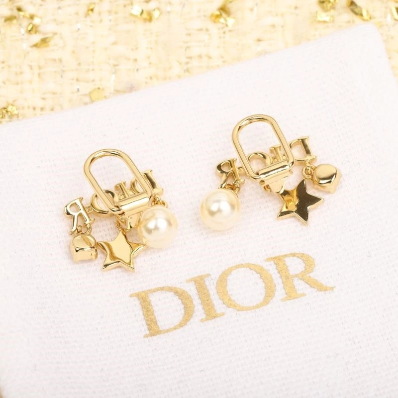 Christian Dior Earrings Affordable 234211